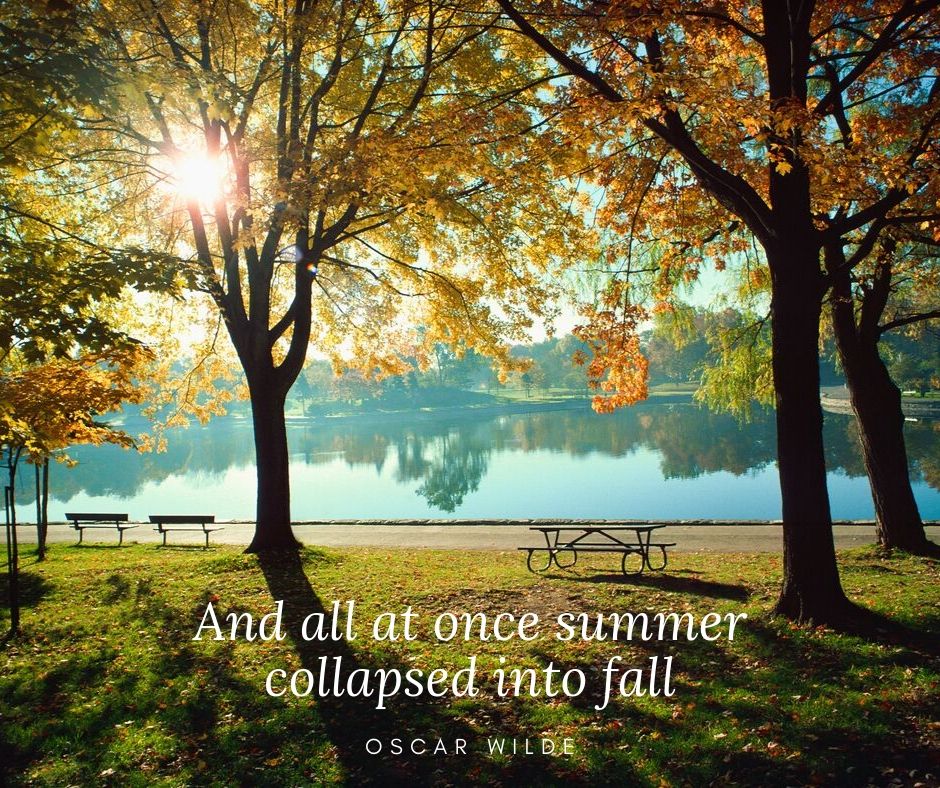 Colorful fall leaves on tree in a park overlooking a lake with fall quote on bottom