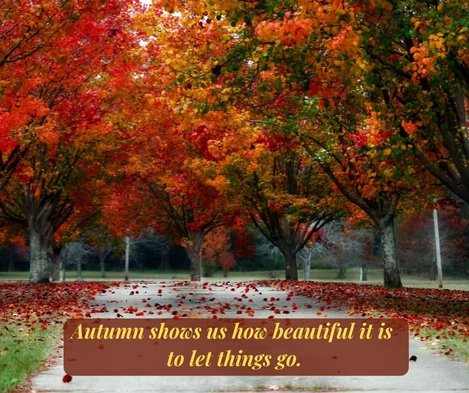 autumn quotes fall