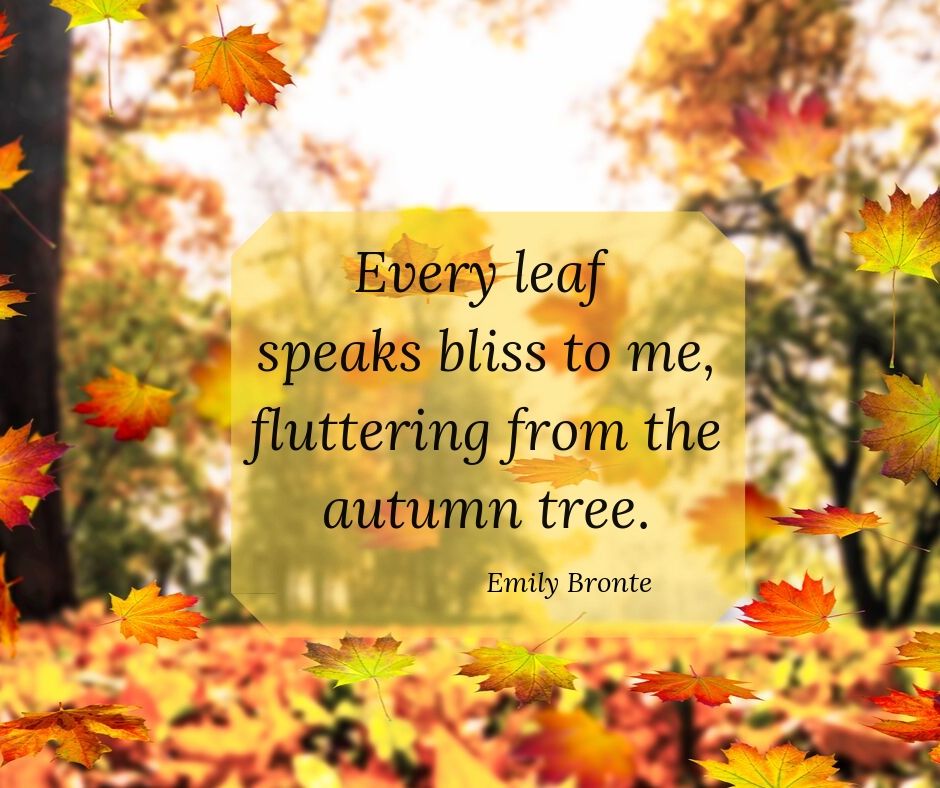 background picture of colorful fall leaves fluttering down with fall quote in middle
