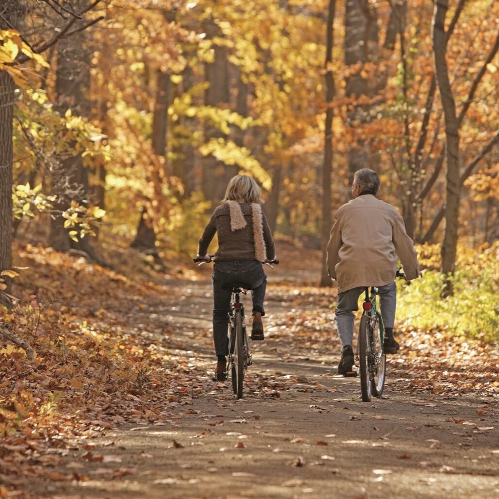 couple biking in fall woods